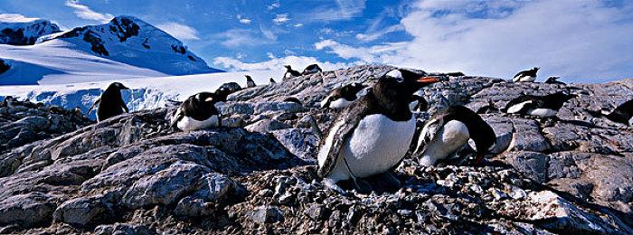 《真人快打遗产收藏》10月30日发售 经典系列游戏集结